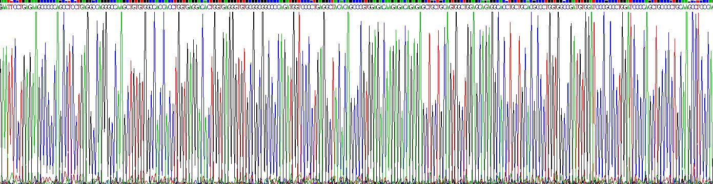 Recombinant Insulin Like Protein 3 (INSL3)