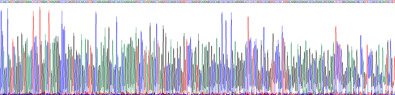 Recombinant Adrenergic Receptor Beta 3 (ADRb3)