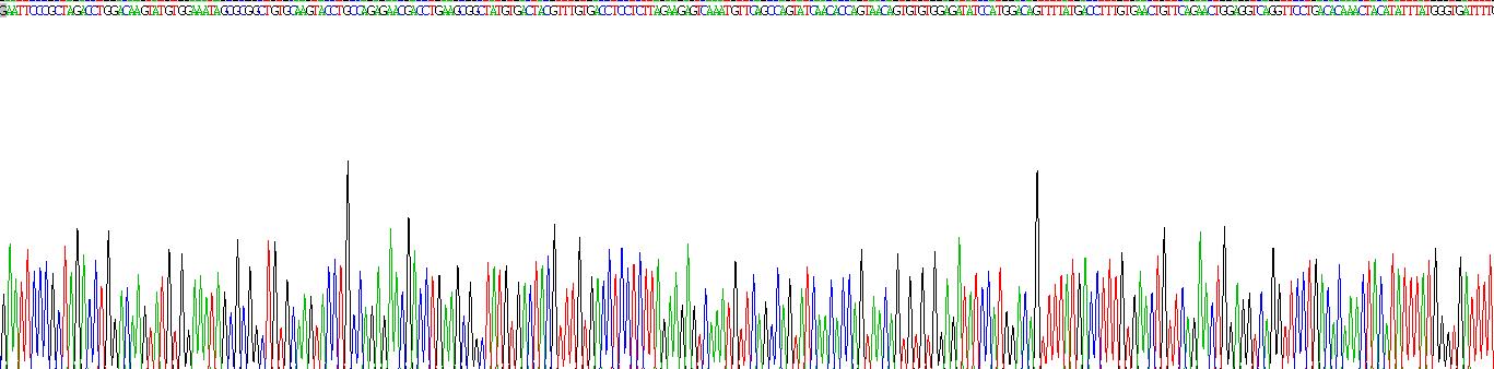 Recombinant Protein Phosphatase 6, Catalytic Subunit (PPP6C)