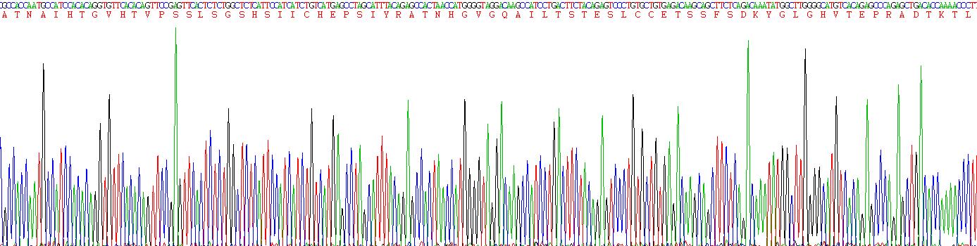 Recombinant Perilipin 4 (PLIN4)