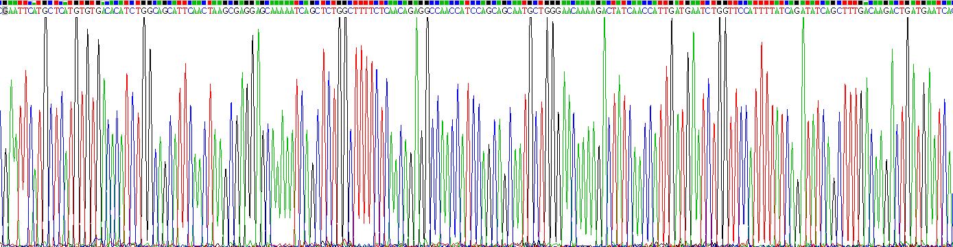 Recombinant Rac-GTPase Activating Protein 1 (RACGAP1)