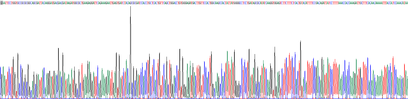 Recombinant Ubiquitin Conjugating Enzyme E2D1 (UBE2D1)
