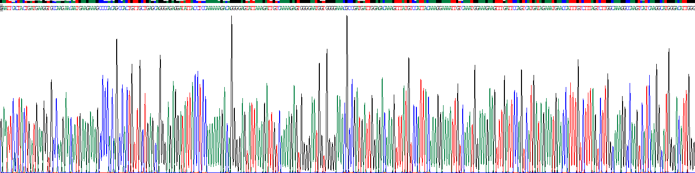 Recombinant FK506 Binding Protein 5 (FKBP5)