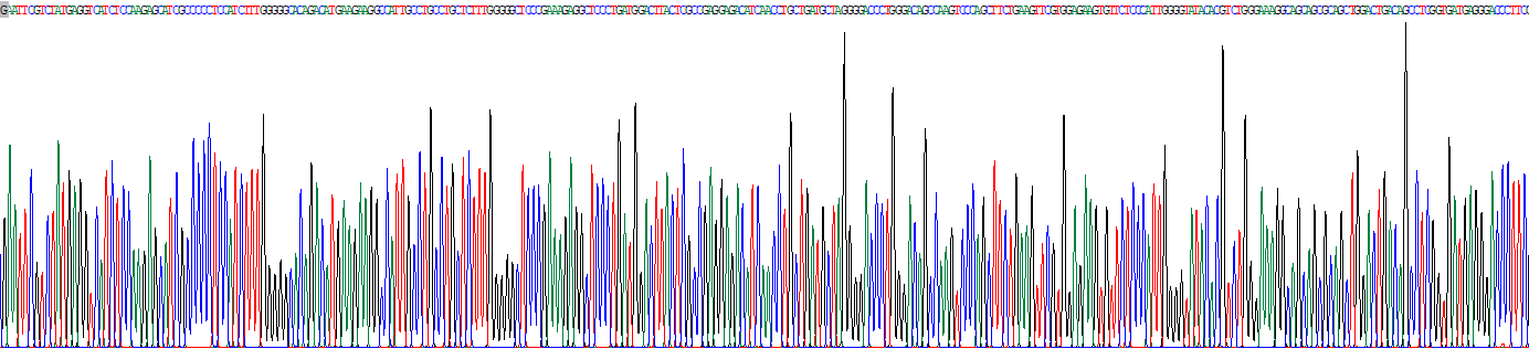 Recombinant Minichromosome Maintenance Deficient 5 (MCM5)