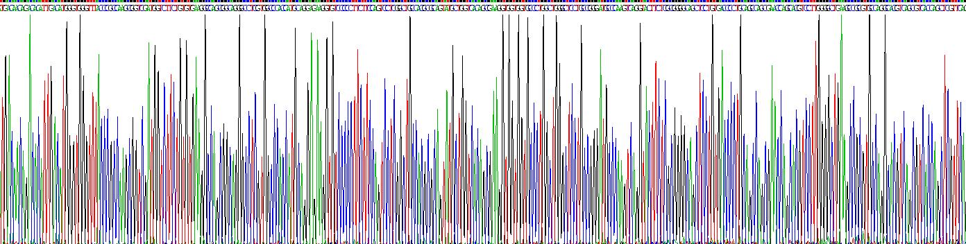 Recombinant Immunoglobulin A1 (IgA1)