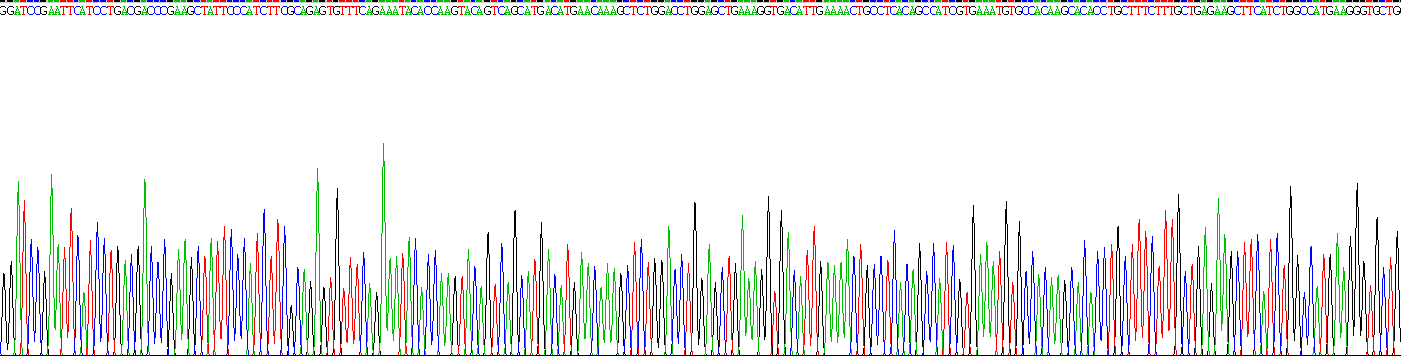 Recombinant Annexin A1 (ANXA1)