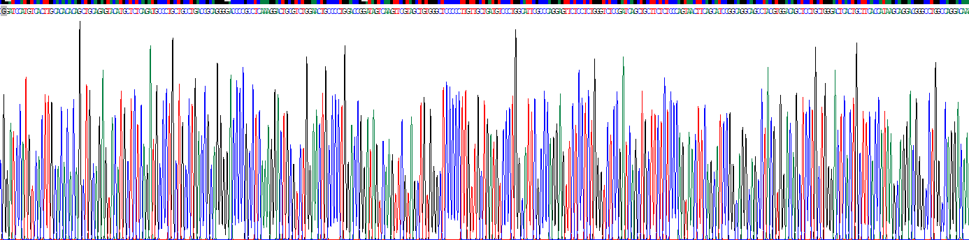 Recombinant Pannexin 3 (PANX3)