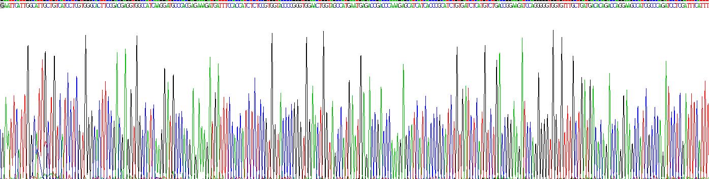 Recombinant Glutamate Receptor, Ionotropic, N-Methyl-D-Aspartate 2B (GRIN2B)