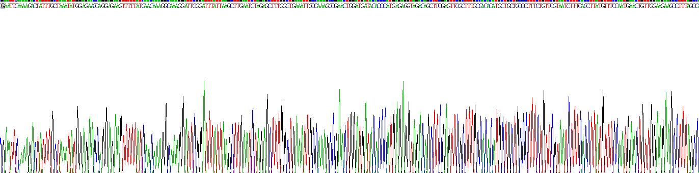 Recombinant Splicing Factor, Proline/Glutamine Rich (SFPQ)