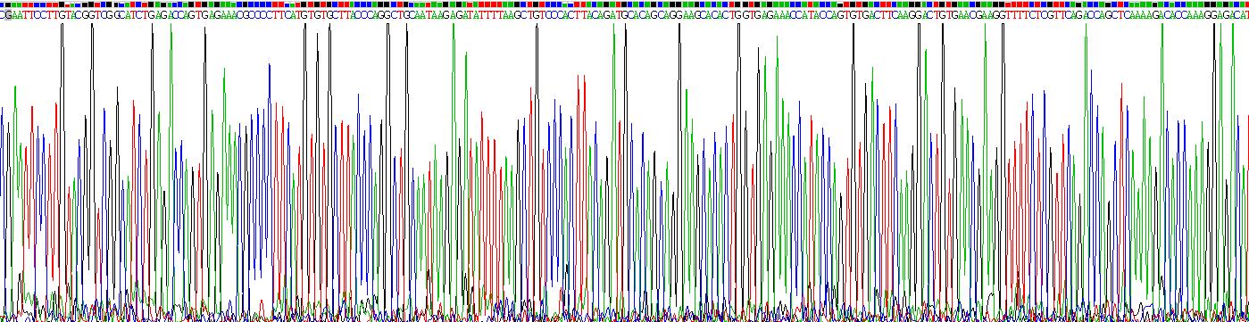 Recombinant Wilms Tumor Protein (WT1)