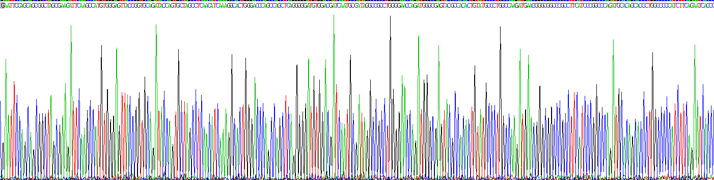 Recombinant Fucosyltransferase 2 (FUT2)