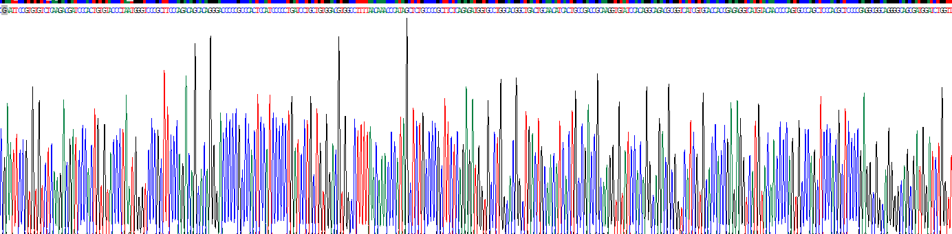 Recombinant Fucosyltransferase 6 (FUT6)