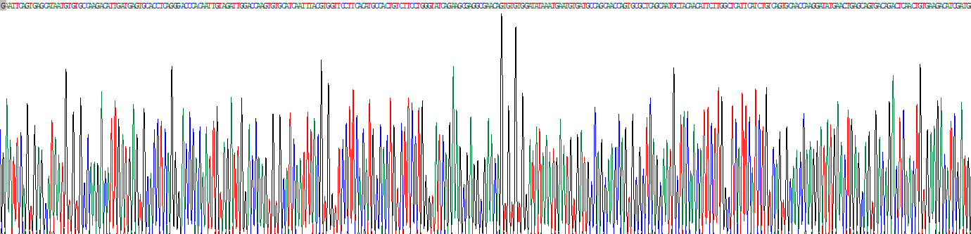Recombinant Fibulin 3 (FBLN3)