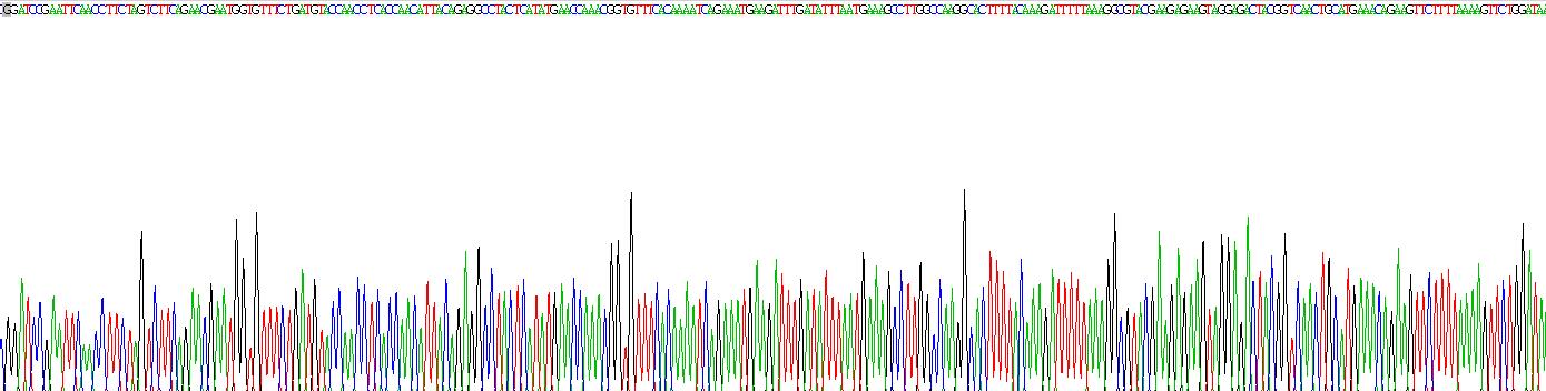 Recombinant Janus Kinase 2 (JAK2)