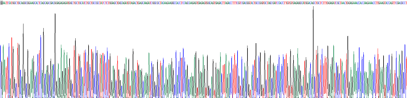 Recombinant Kinesin Family, Member 22 (KIF22)