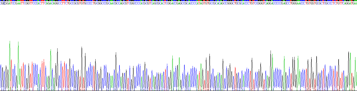 Recombinant Kisspeptin Receptor (KISS1R)