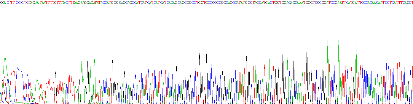 Recombinant Leukocyte Cell Derived Chemotaxin 2 (LECT2)