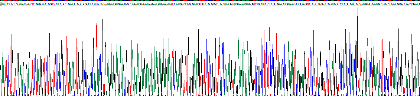 Recombinant Tumor Necrosis Factor Alpha Induced Protein 2 (TNFaIP2)