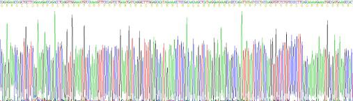 Recombinant Secretogranin II (SCG2)