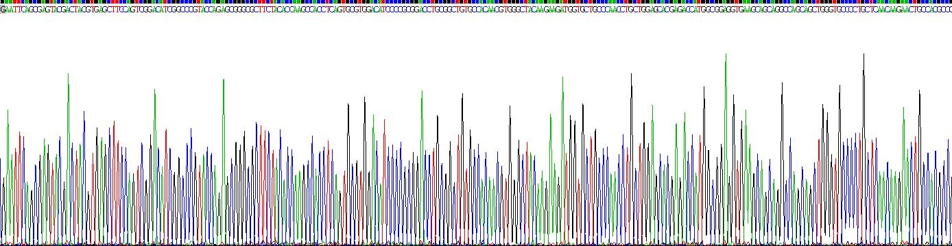 Recombinant Secreted Frizzled Related Protein 1 (SFRP1)