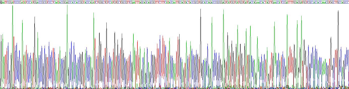 Recombinant Neuropeptide FF (NPFF)