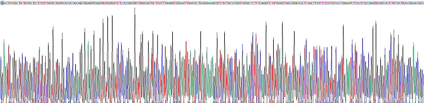 Recombinant Forkhead Box Protein K2 (FOXK2)