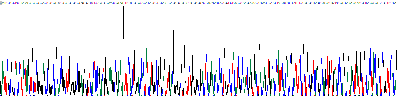 Recombinant Proteasome Subunit Beta Type 6 (PSMb6)