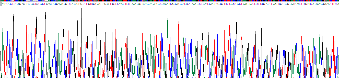 Recombinant Cysteine Rich Protein, Angiogenic Inducer 61 (CYR61)