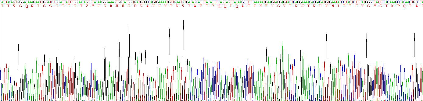 Recombinant B-Raf Proto Oncogene Serine/Threonine Protein Kinase (BRAF)