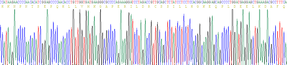 Recombinant ATPase, Na+/K+ Transporting Alpha 1 Polypeptide (ATP1a1)