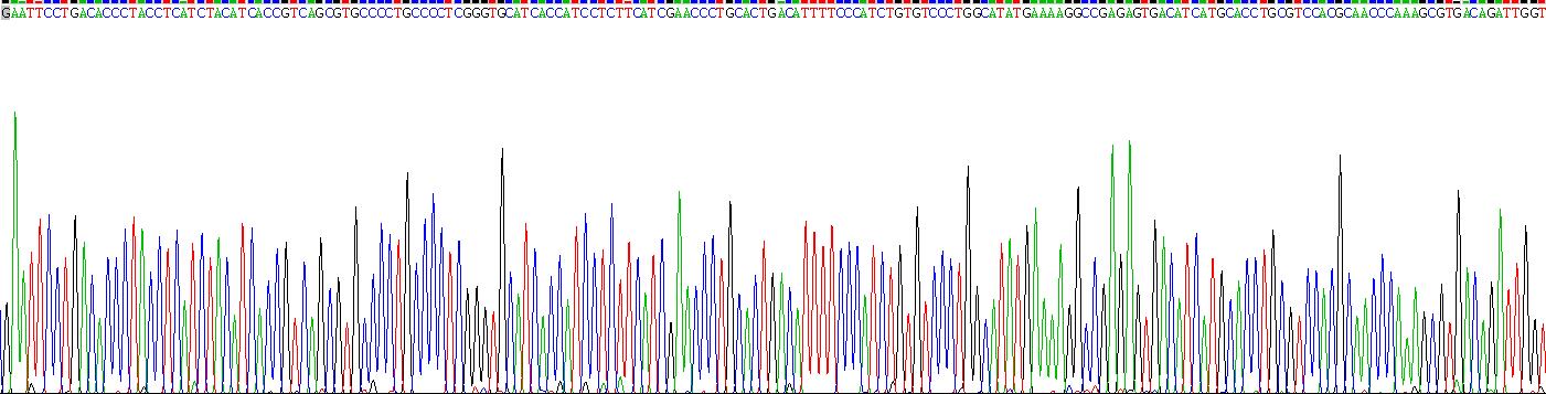 Recombinant ATPase, H+/K+ Exchanging Alpha Polypeptide (ATP4a)