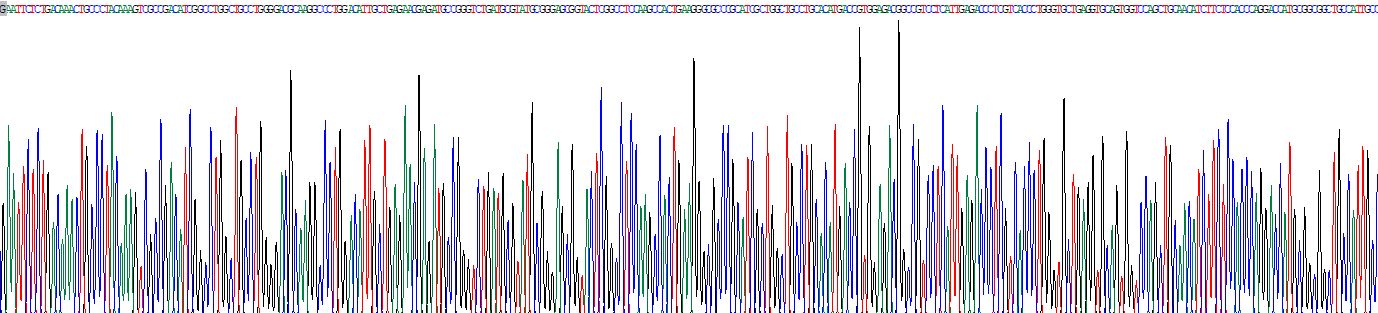 Recombinant Adenosylhomocysteinase (AHCY)
