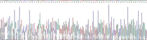 Recombinant Chymase 1, Mast Cell (CMA1)