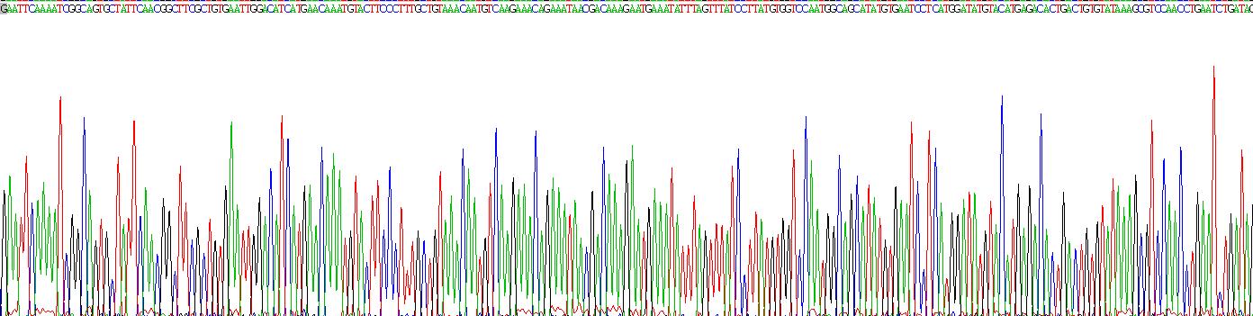 Recombinant Cereblon (CRBN)