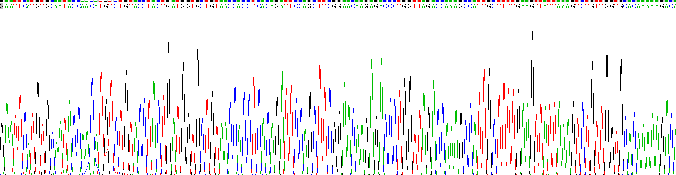 Recombinant Mdm2 p53 Binding Protein Homolog (MDM2)