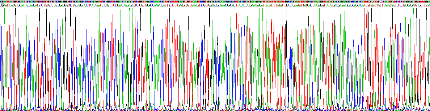 Recombinant Mdm2 p53 Binding Protein Homolog (MDM2)