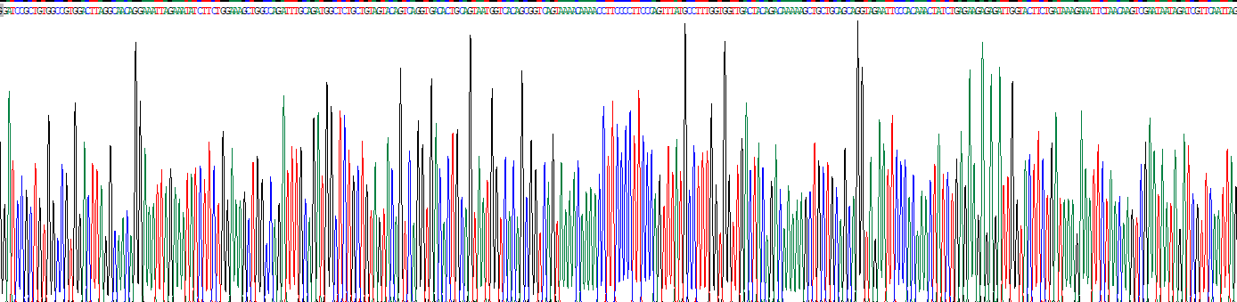 Recombinant Polyribonucleotide Nucleotidyltransferase 1 (PNPT1)