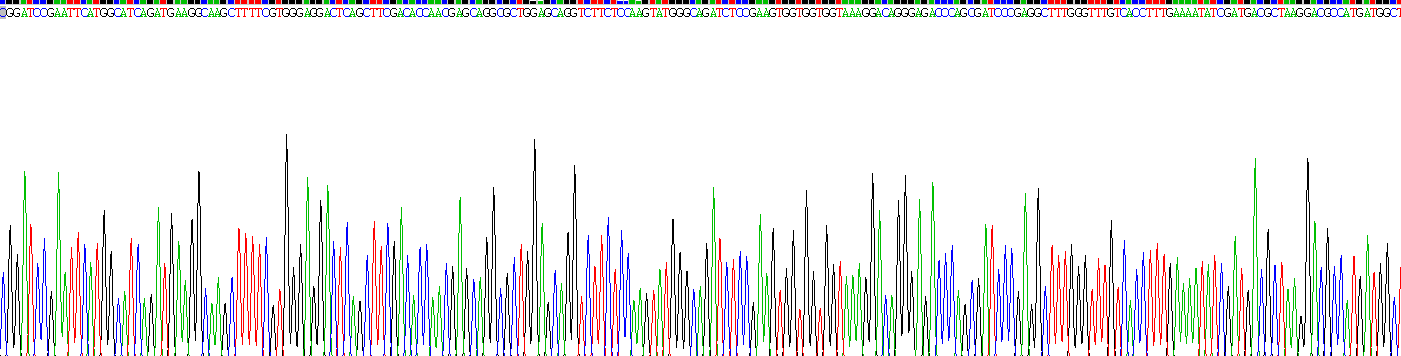 Recombinant Cold Inducible RNA Binding Protein (CIRBP)