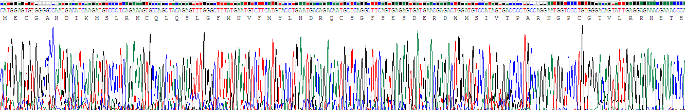 Recombinant Uromodulin (UMOD)