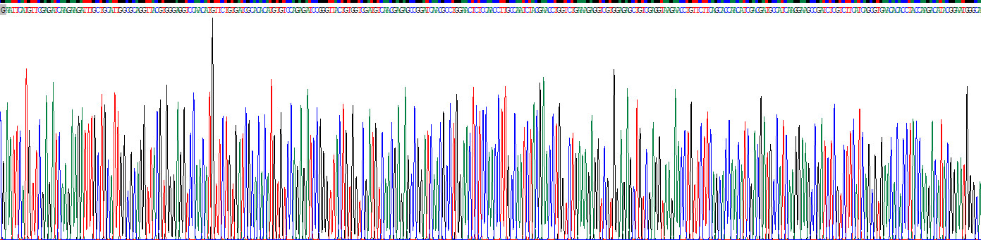 Recombinant UDP Glucose-6-Dehydrogenase (UGDH)