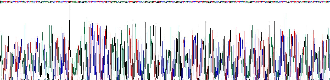 Recombinant Interferon Alpha 5 (IFNa5)