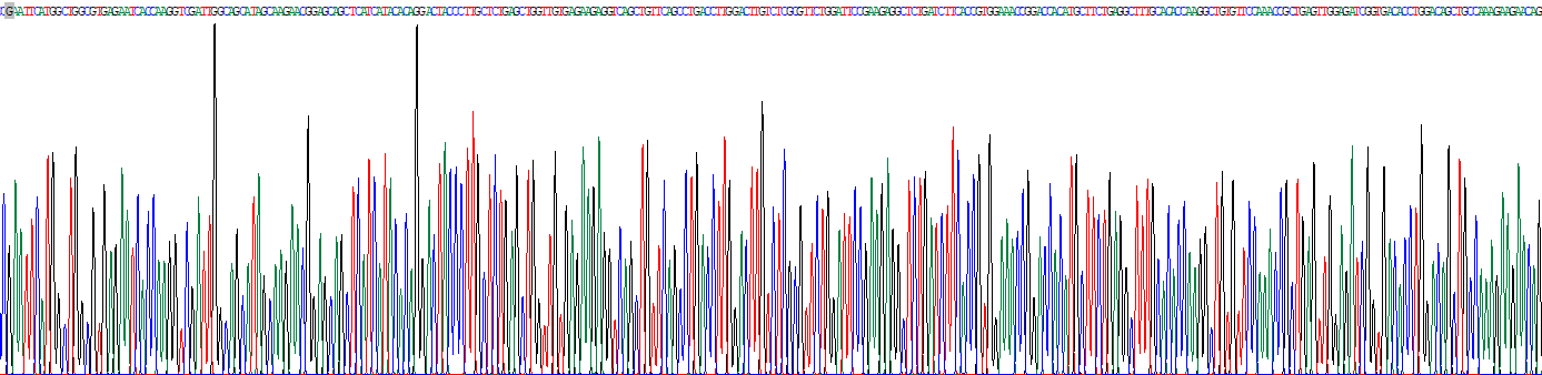 Recombinant Transglutaminase 6 (TGM6)