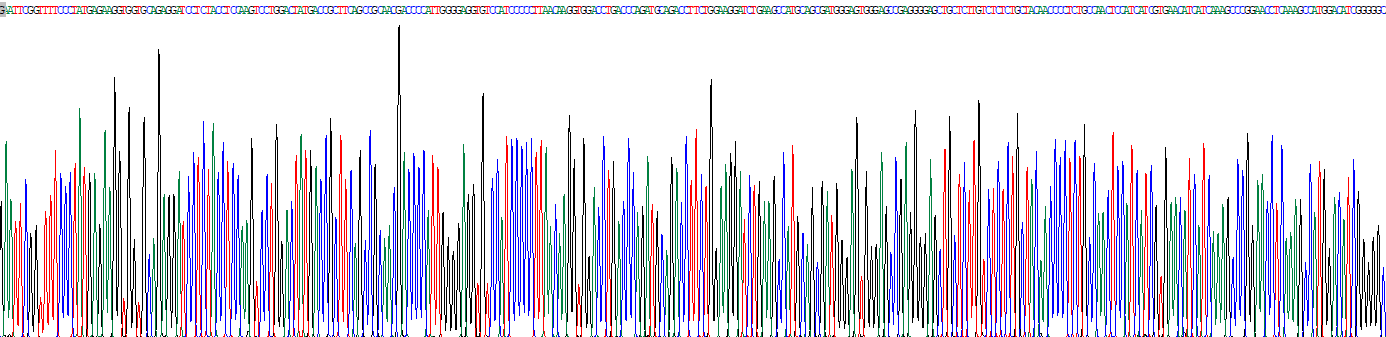 Recombinant Synaptotagmin VII (SYT7)