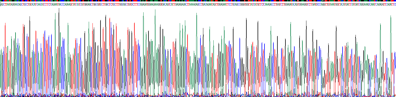 Recombinant Squalene Epoxidase (SQLE)