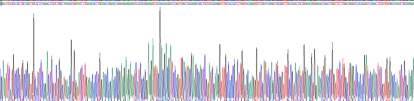 Recombinant Polyglutamine Binding Protein 1 (PQBP1)