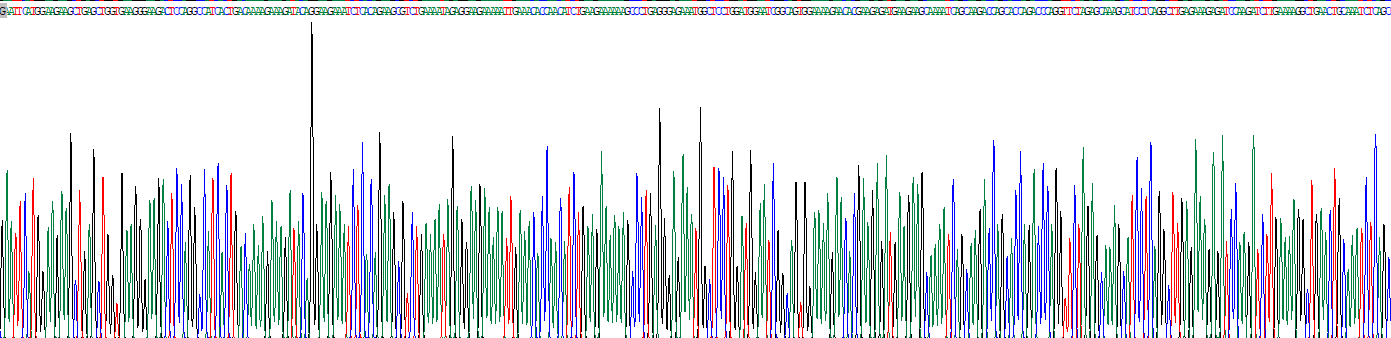 Recombinant Palmdelphin (PALMD)