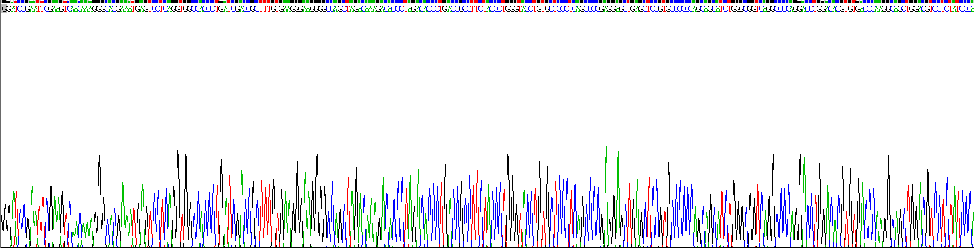 Recombinant Mesothelin (MSLN)