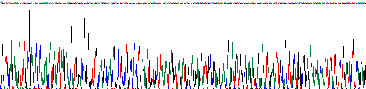 Recombinant Maternal Embryonic Leucine Zipper Kinase (MELK)