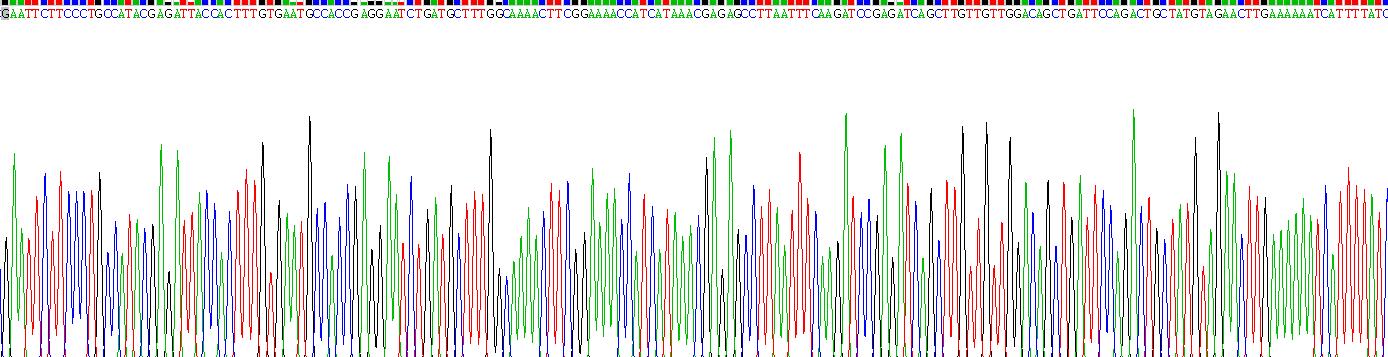 Recombinant Leucine Rich Repeat Kinase 2 (LRRK2)