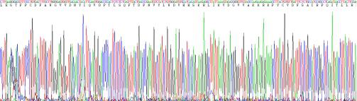 Recombinant Klotho (KL)